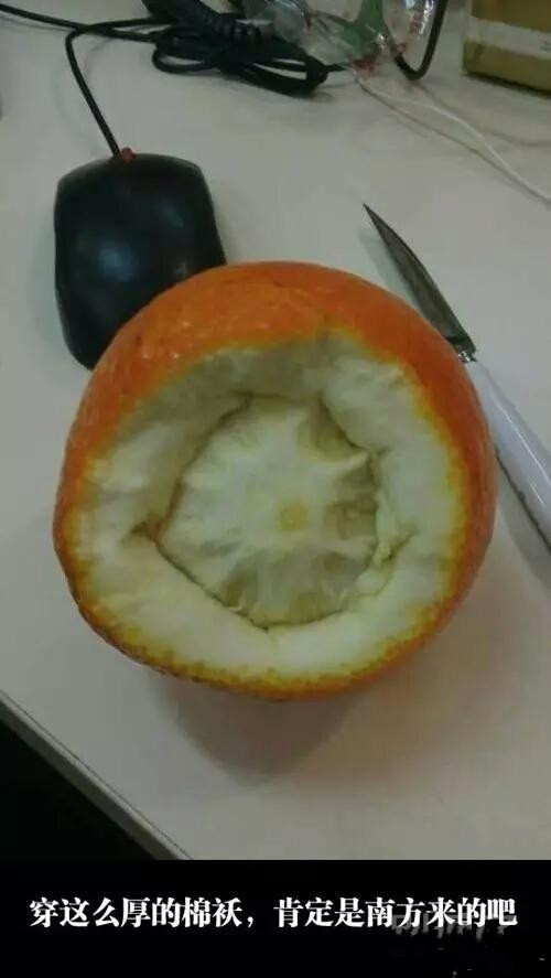 搞笑图片:真是大雨中的一朵奇葩!