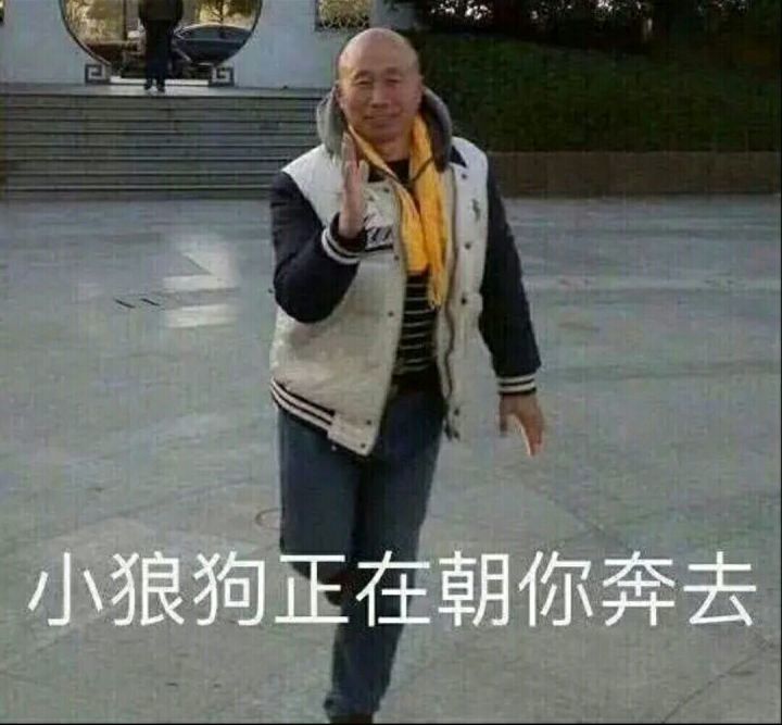 搞笑超逗的表情包,一只小狼狗正在朝你奔去