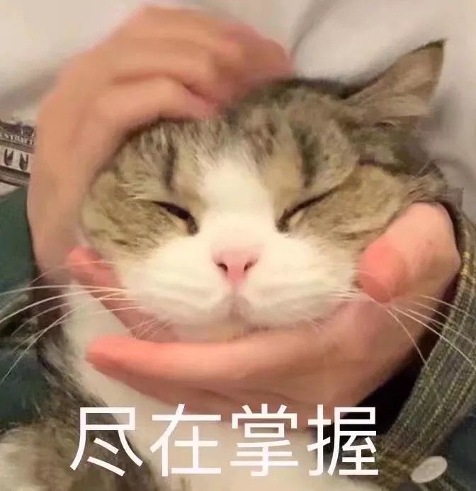 超搞笑超逗表情包,吃饱喝饱后悔了
