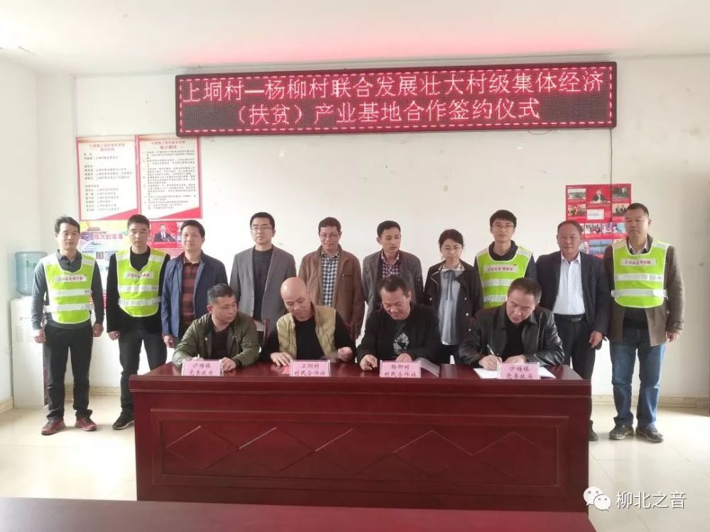 龙塘镇经济总量_清远市龙塘镇图片(3)