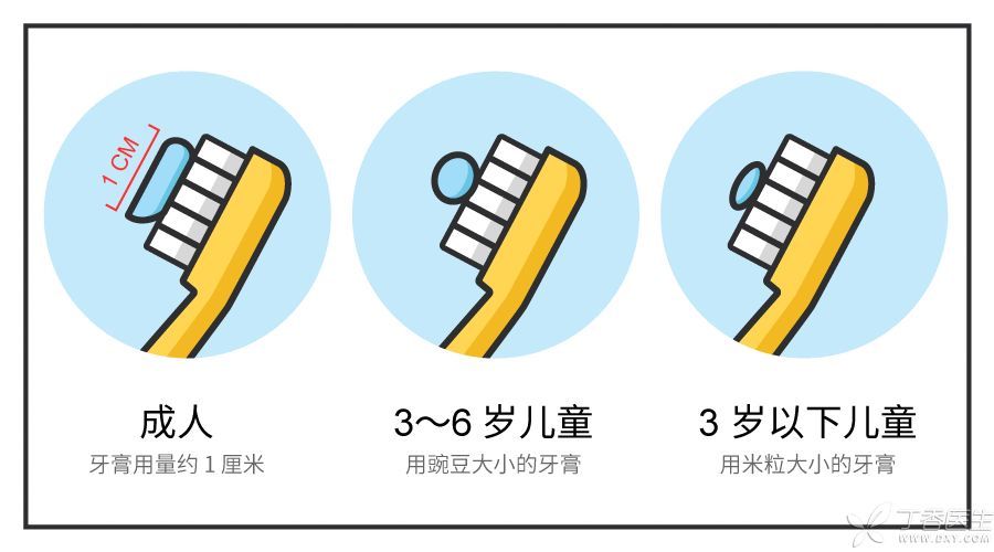 丁香医生设计团队 牙膏也不用挤太多 成人,小孩,各有各的用量