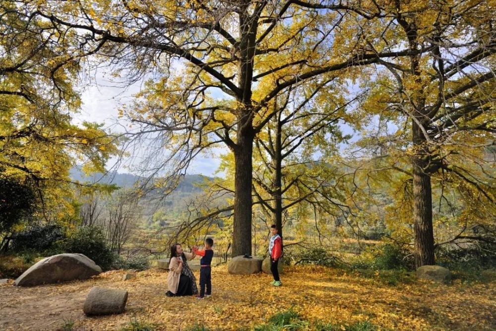 新县,乡村旅游,田铺乡