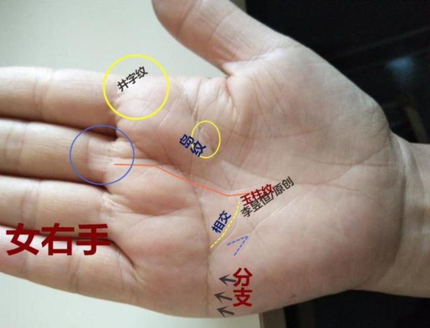 手相:玉柱纹3种特征,只要恒心大,早晚必富!