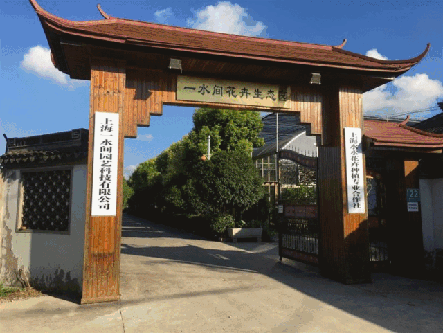 罗泾美丽乡村→水源涵养林→宝山湖生态农业园