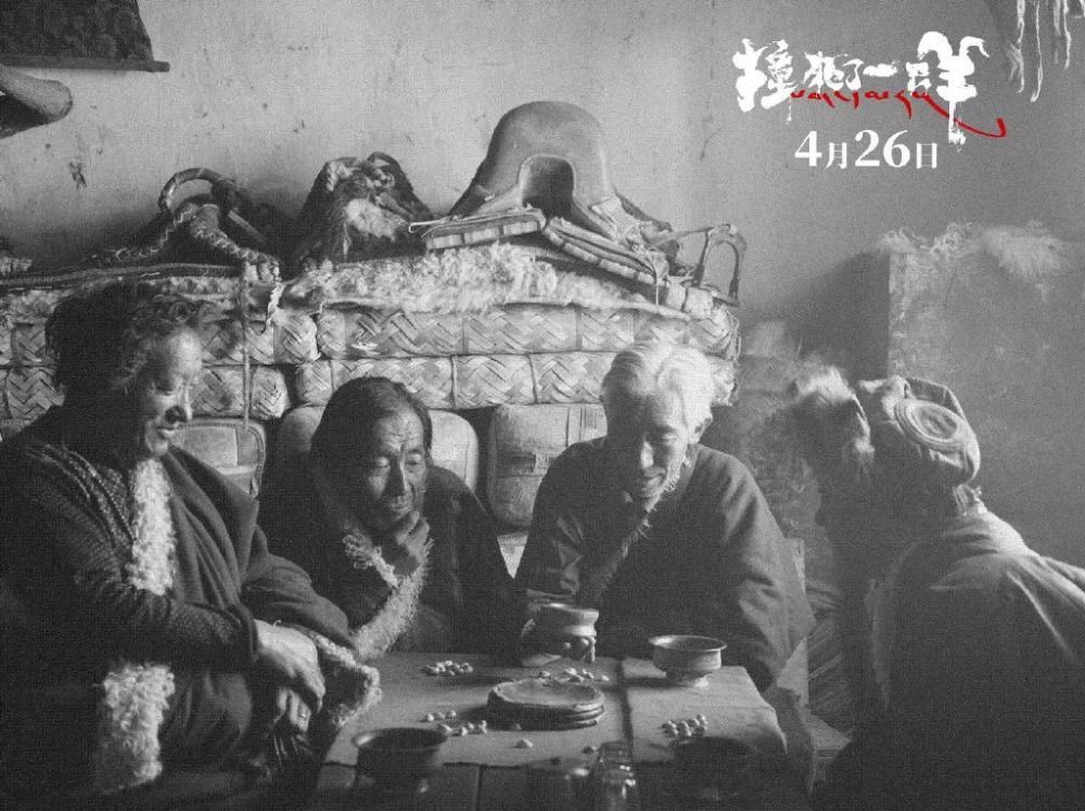 这个导演拍了一部关于复仇的电影,正面PK《