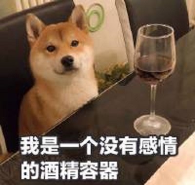 爆笑表情包:说实话,这个点猪都起床吃饭了