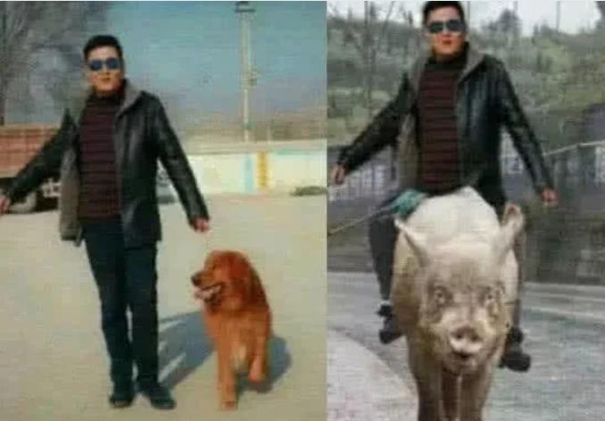 p图大神搞笑图,骑猪的我忍了,但是这个胖妞变美女,太好看了