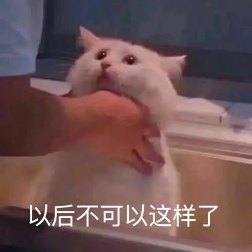 男票说"我错了",笨丫头才回"嗯嗯",用这组表情包"怼"回去