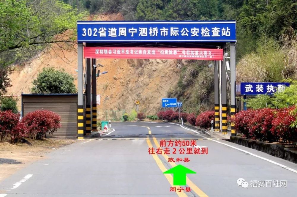 本周三免门票一天,周宁泗桥花海走起