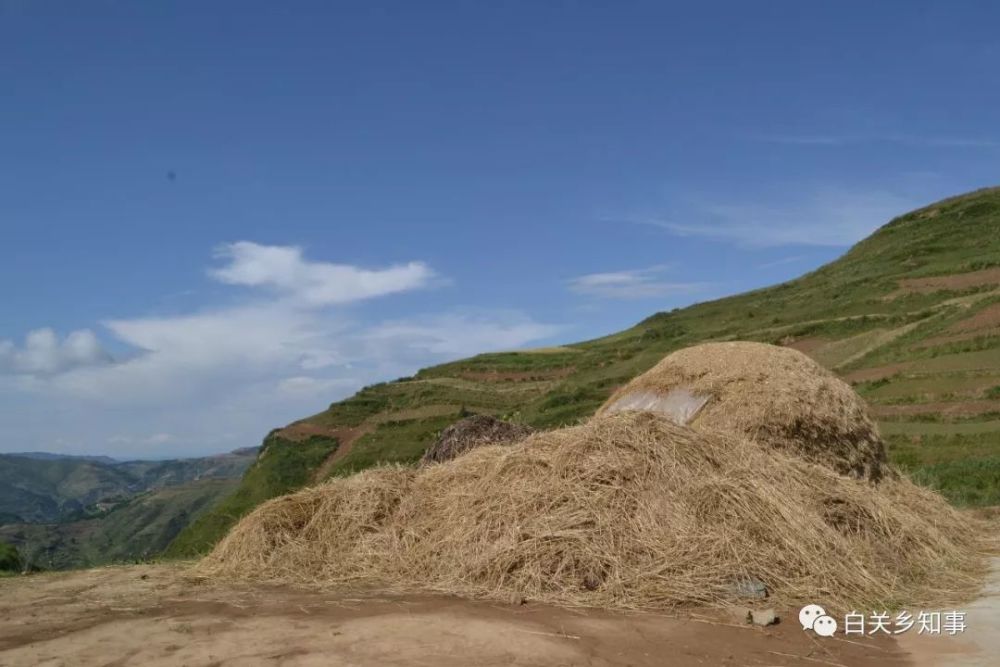 礼县白关镇汪山村:一个奔跑在脱贫路上的美丽村庄