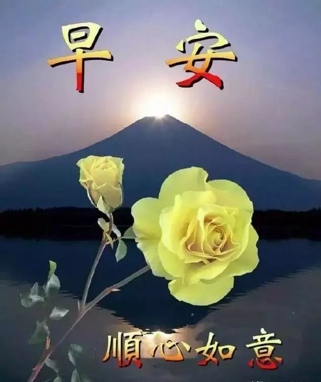 适合群发早安问候祝福语图片带字温馨,最漂亮早上好动态表情图片