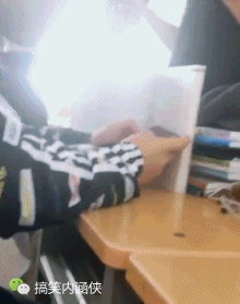 搞笑gif趣图 摄影师,你挡住我看小姐姐了