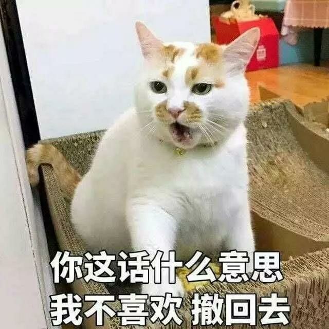 超搞笑猫咪表情包,你清醒一点