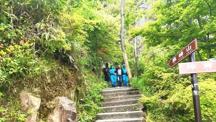 灵溪镇,鹿峰山,慈航,苍南县