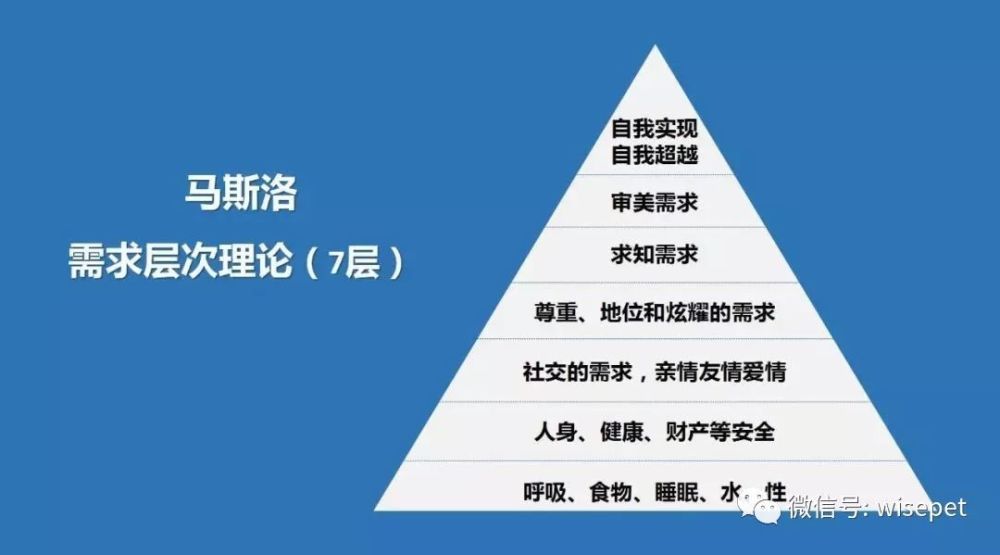 马斯洛的需求金字塔,我们忽略了什么