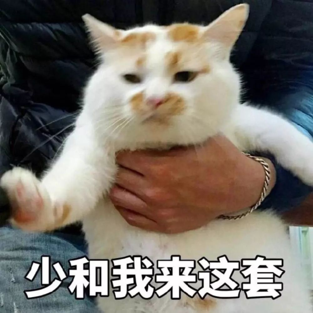 可爱搞笑萌宠,养宠知识趣闻,猫主子喵星人,铲屎官养猫,猫咪睡觉卖萌