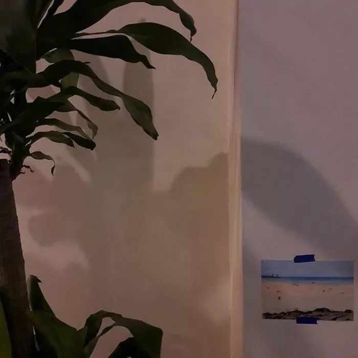 好久不见的背景图