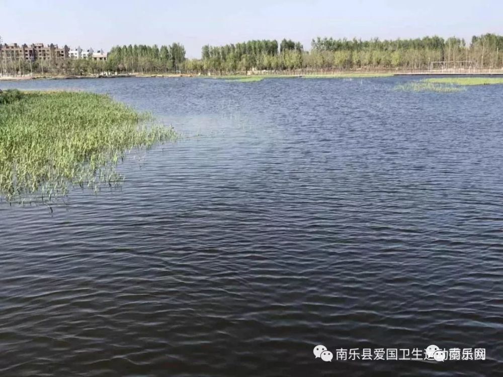 东湖,西湖美景如画…南乐多个网红踏青景点曝光,好看!