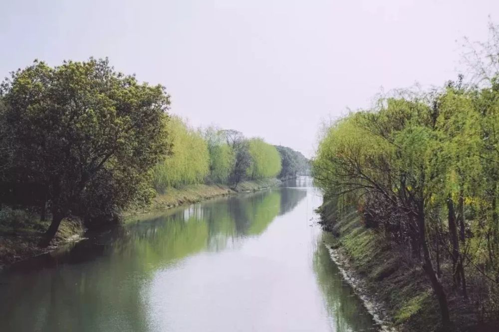 青浦莲湖村游玩攻略作文，青浦区莲湖村景色怎样