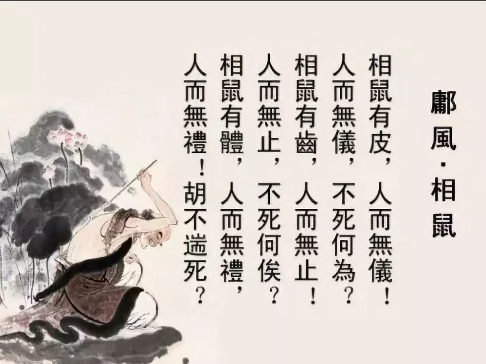 8 国风·鄘风·相鼠《诗经》第四部|《触摸古典的中国》系列|触摸古典