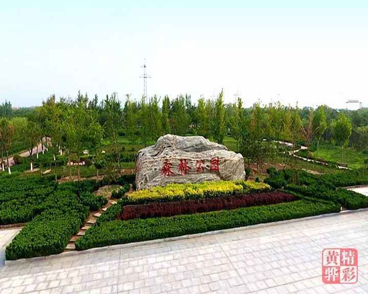 黄骅市,公园,南海公园,西湖公园,园林,湿地
