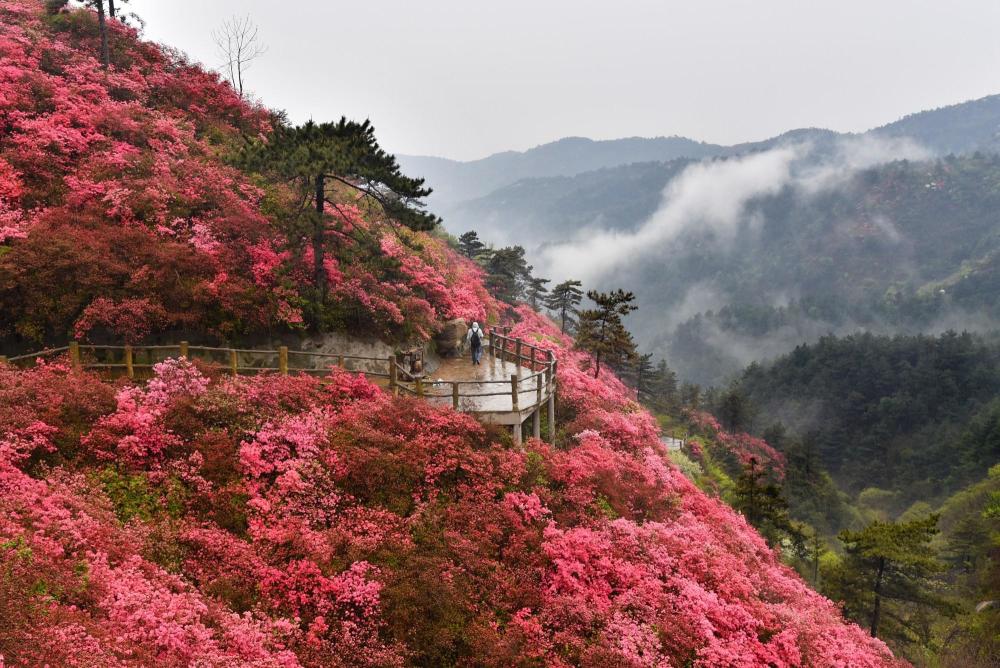 木兰云雾山,武汉,民俗,黄陂