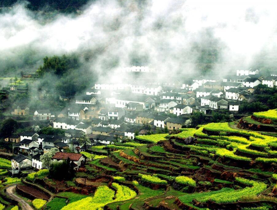 杭州2020年服务业占gdp_杭州西湖图片(3)