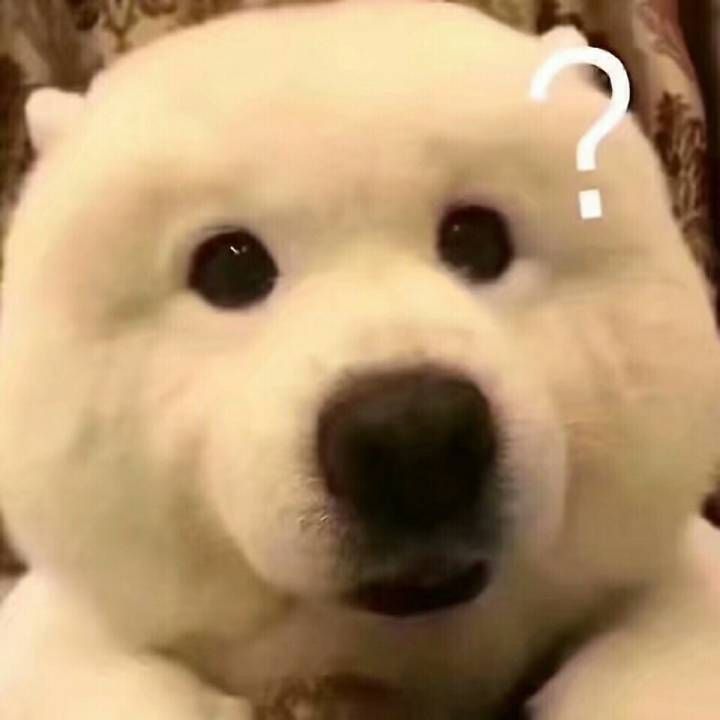 超搞笑超逗表情包,你凭什么不喜欢我