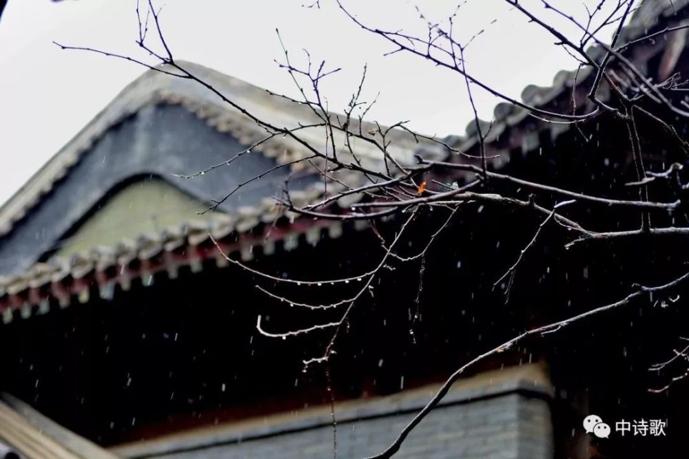 同题《清明雨》《红芽》诗作及自评