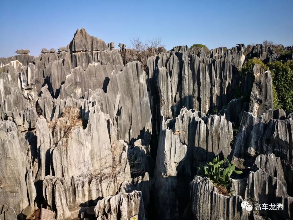 昆明市石林风景区,石林风景区,乃古石林,飞龙瀑,世界地质公园