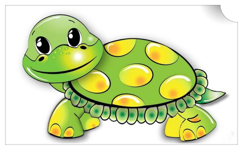 巴西龟,中华龟,锦龟……突然眼前一亮,一只外形很小,浅灰色的皮肤
