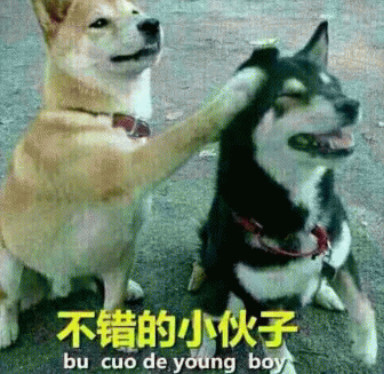 精选斗图·表情包:我才是这条街最靓的仔