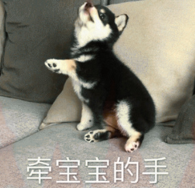 精选斗图·表情包:我才是这条街最靓的仔