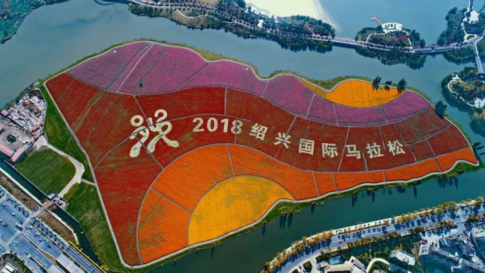 杭州湾海上花田