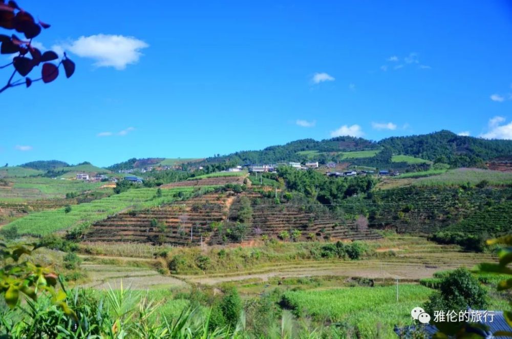 旅行普洱澜沧,这座云南第二大县的大山里,藏着千年万亩古茶园!