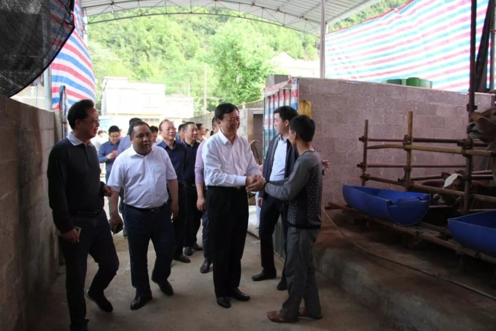 县长黄枝君带队赴河池市南丹县,都安县学习考察乡村振兴先进经验