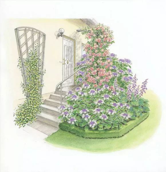 100张世界级花镜大师的手绘作品,以后家里的植物就这么搭配了!