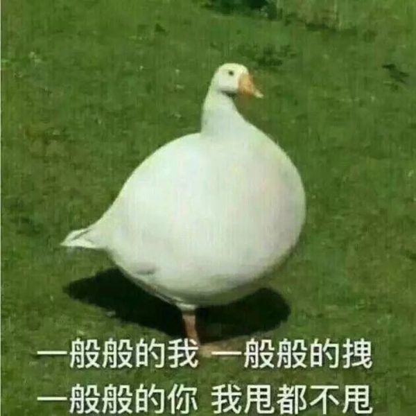超搞笑超逗表情包,今天也要爱我鸭