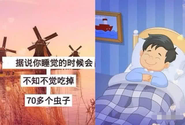 文化,冷知识,朋友圈,睡觉