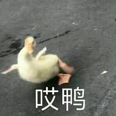 搞笑超逗的表情包,我睡醒了,你胡说,我才没有脱发