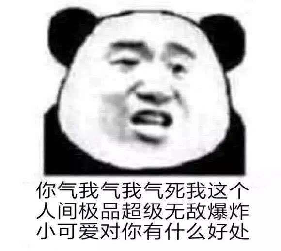 超搞笑超逗熊猫头表情包,不爱了连语气都变了