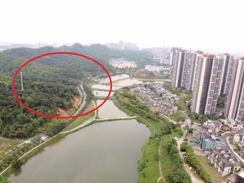 快讯!金沙洲今年拟卖地块公布,原来是在这里!