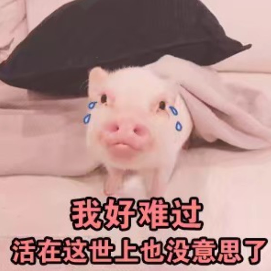全网都在用的"粉红猪"表情包:我好难过,谁来哄哄我?