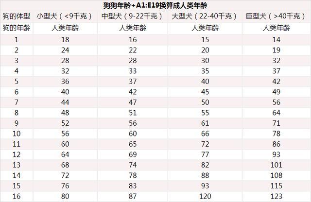 1分钟检测狗狗是否老了,还有狗年龄换算表,快看你家狗的情况