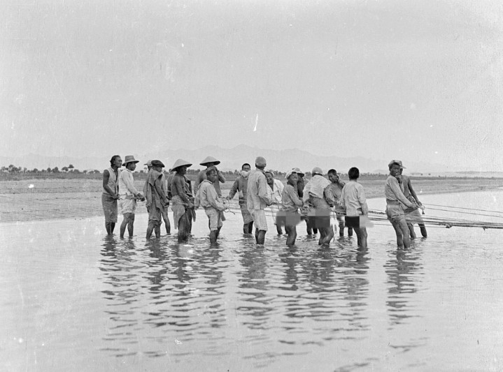 老照片:1917年的北戴河,一群纤夫在河面上拉网.