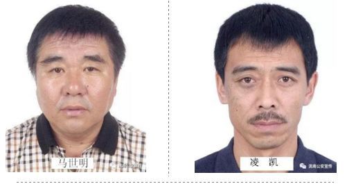 世明,凌 凯,凌 勇,马世红,梁 龙,臧继国,李春水,李 红,马克鑫,凌云霄