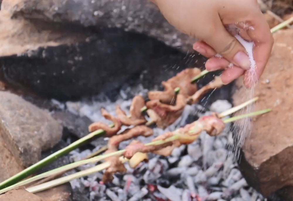 烧烤,肉串,农村姑娘,想吃,烤肉