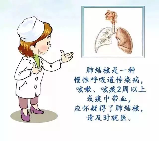 疫情,传染病,肺结核,流行性感冒,流行性腮腺炎,结核