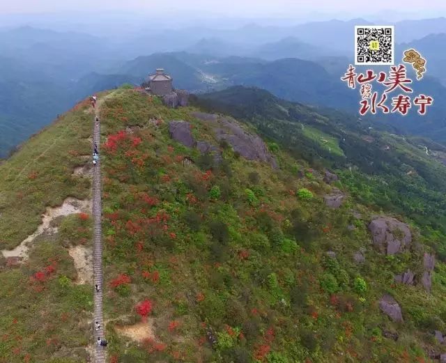 寿宁绝美杜鹃花海,准备好约起来!