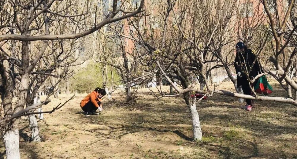 嫩江县有多少人口_嫩江县地图